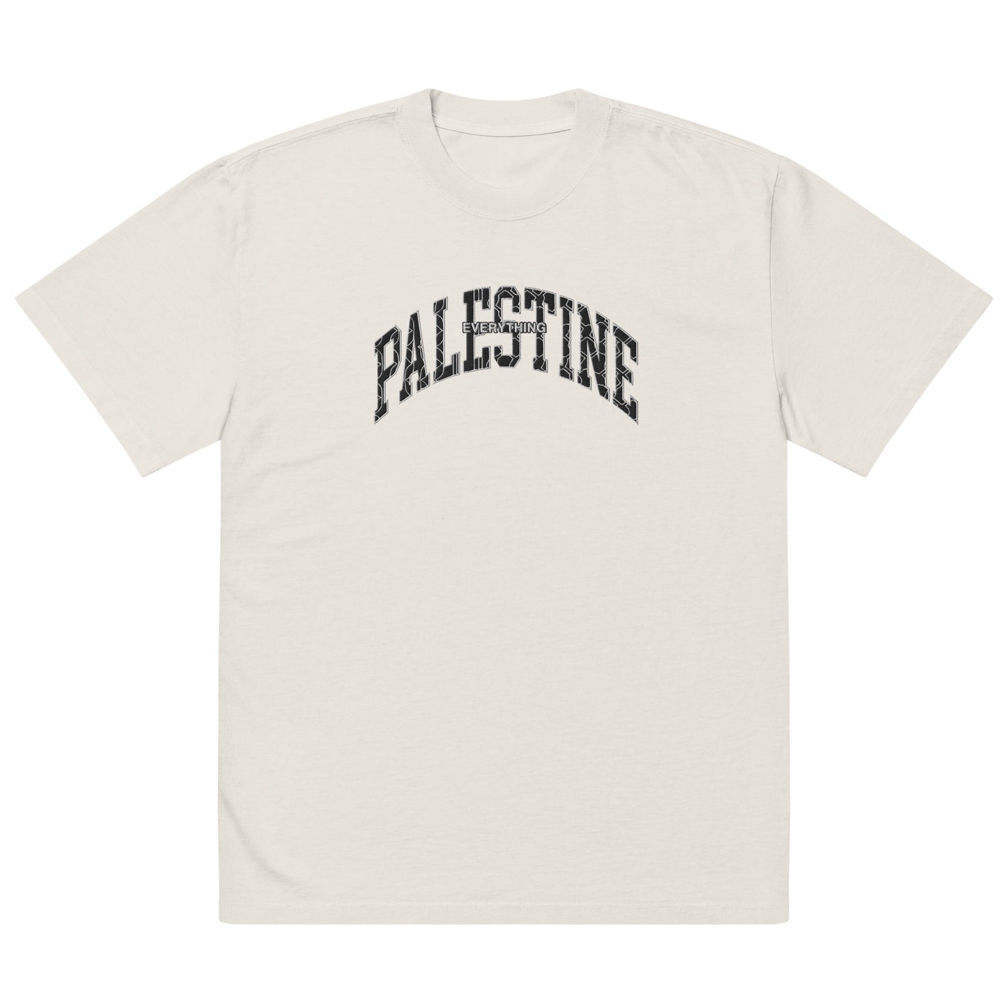 Oversized Embroidered Everything Palestine t-shirt